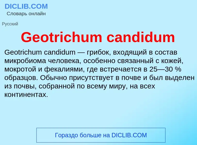 What is Geotrichum candidum - meaning and definition