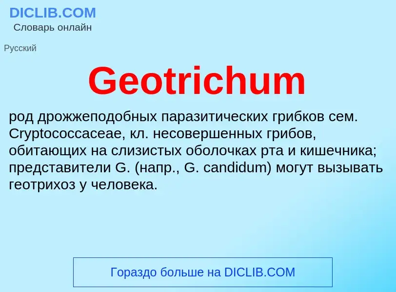 What is Geotrichum - meaning and definition