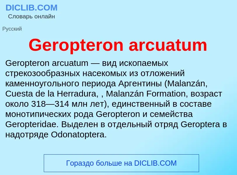 Что такое Geropteron arcuatum - определение