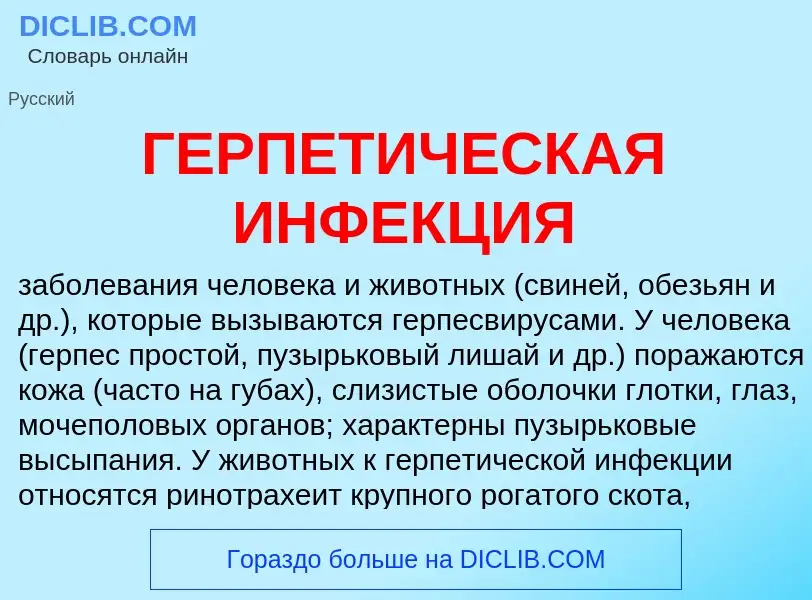 Che cos'è ГЕРПЕТИЧЕСКАЯ ИНФЕКЦИЯ - definizione