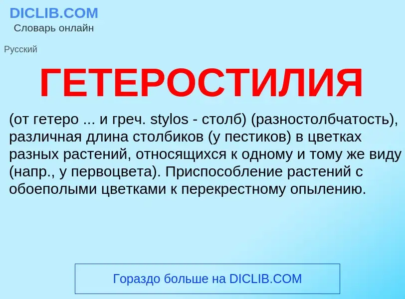 Wat is ГЕТЕРОСТИЛИЯ - definition