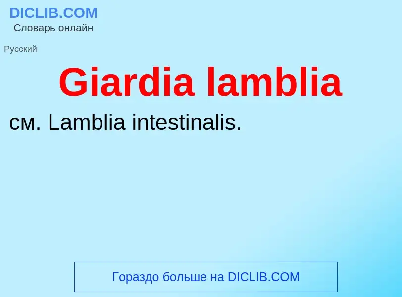 What is Giardia lamblia - meaning and definition