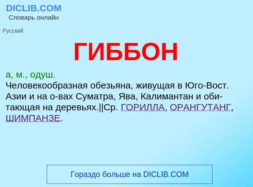 ¿Qué es ГИББОН? - significado y definición