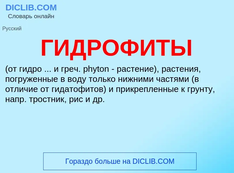 Wat is ГИДРОФИТЫ - definition