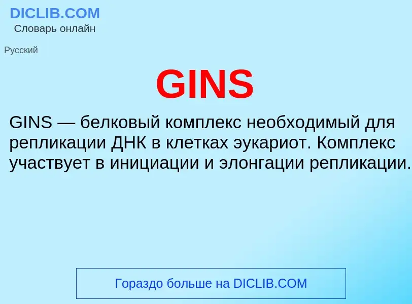 Что такое GINS - определение