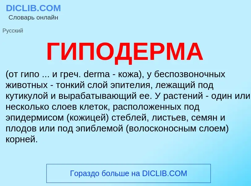 Was ist ГИПОДЕРМА - Definition