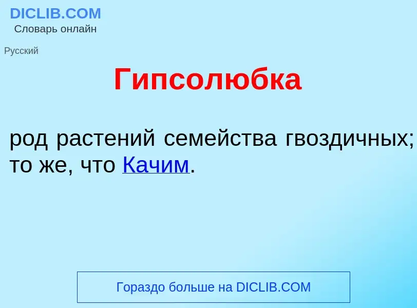 Что такое Гипсол<font color="red">ю</font>бка - определение