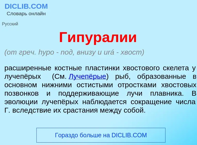 Che cos'è Гипур<font color="red">а</font>лии - definizione