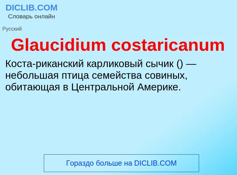 What is Glaucidium costaricanum - meaning and definition