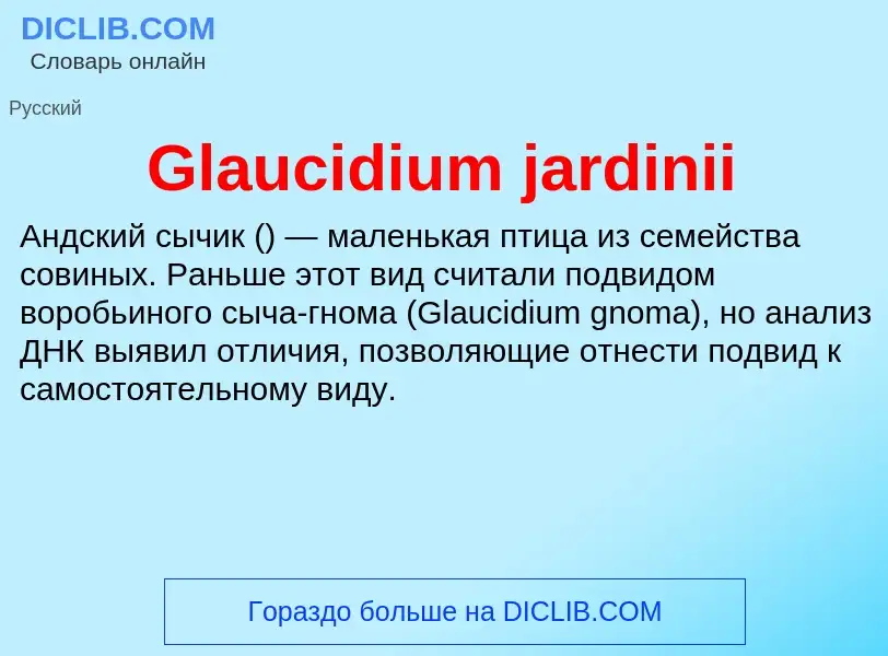 What is Glaucidium jardinii - meaning and definition