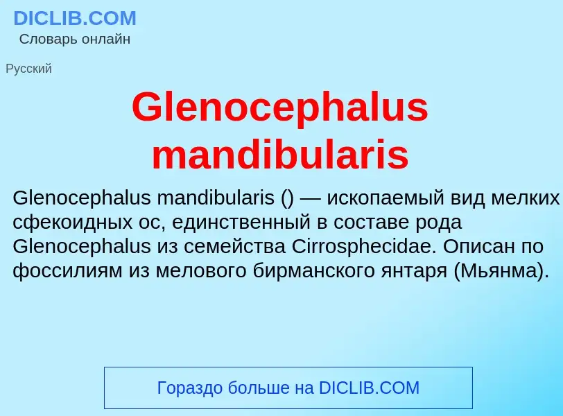 What is Glenocephalus mandibularis - meaning and definition