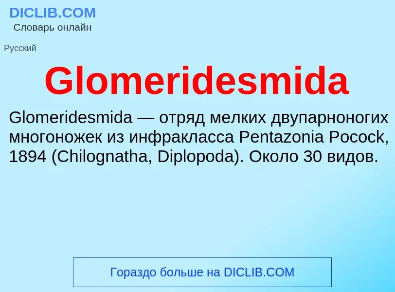 Что такое Glomeridesmida - определение