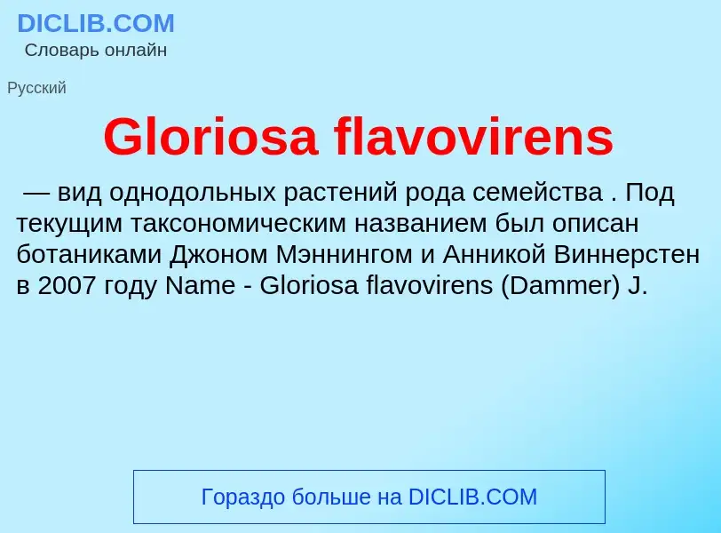 Что такое Gloriosa flavovirens - определение