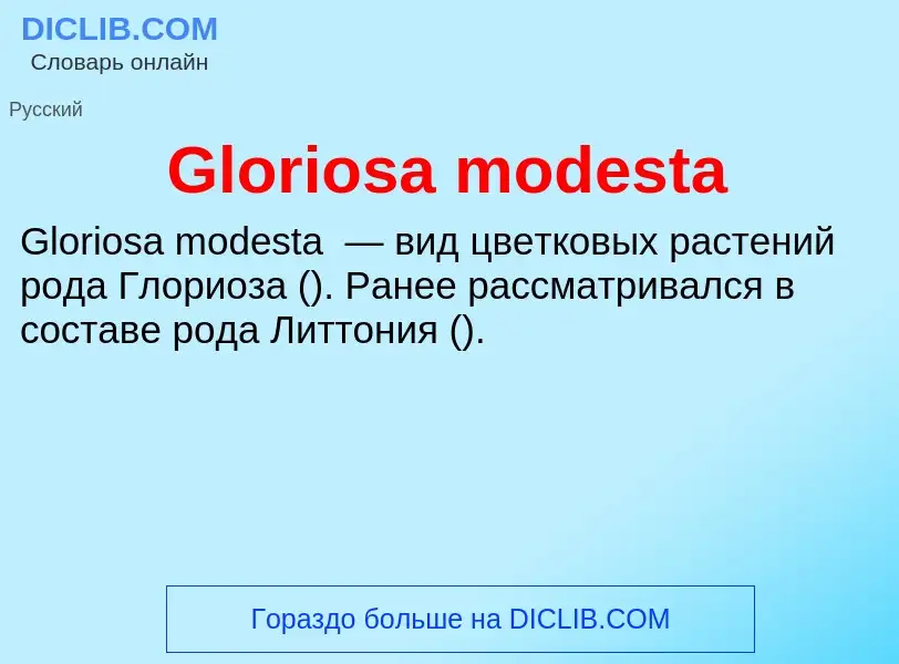 Что такое Gloriosa modesta - определение