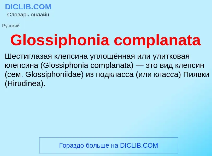 Что такое Glossiphonia complanata - определение