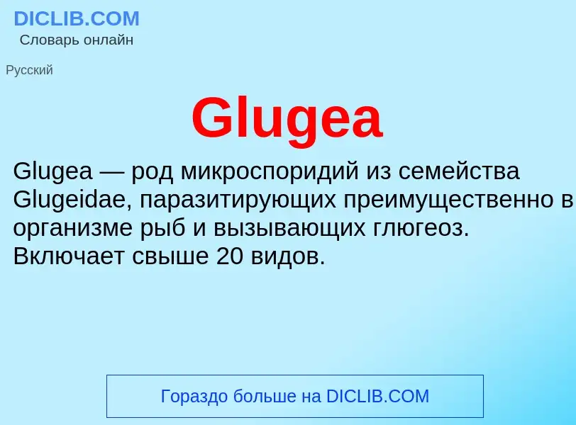 Что такое Glugea - определение