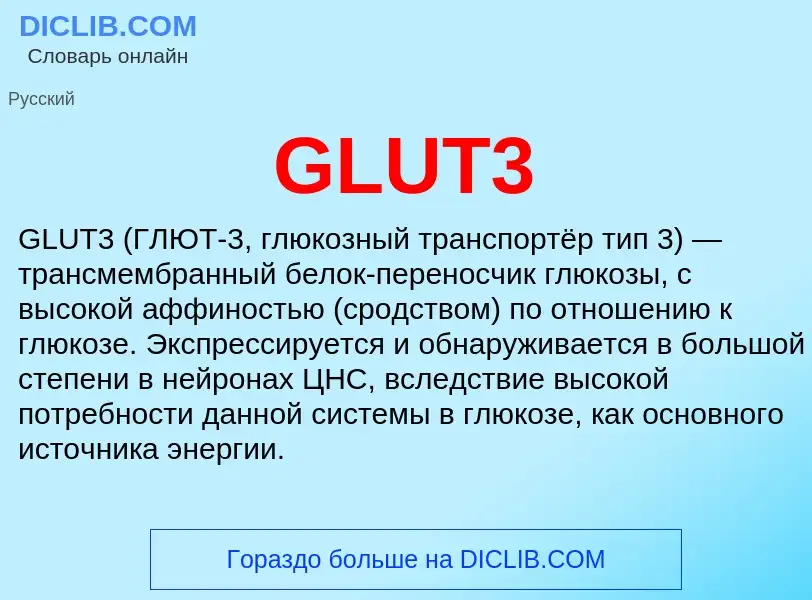 Что такое GLUT3 - определение