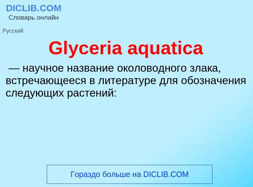 What is Glyceria aquatica - meaning and definition