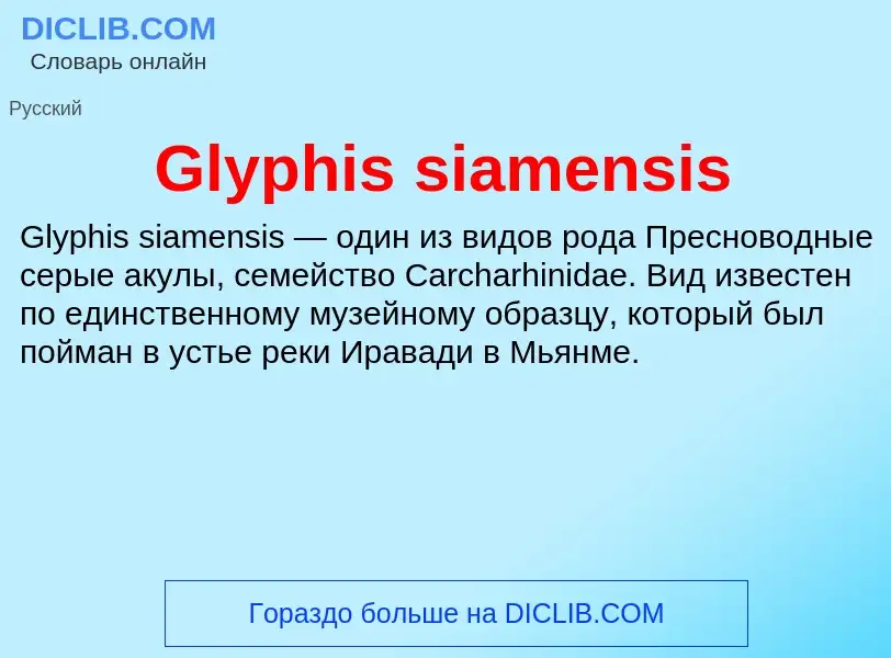 What is Glyphis siamensis - meaning and definition