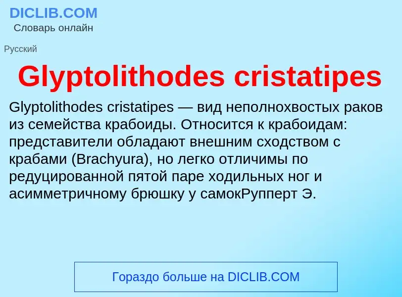 What is Glyptolithodes cristatipes - meaning and definition