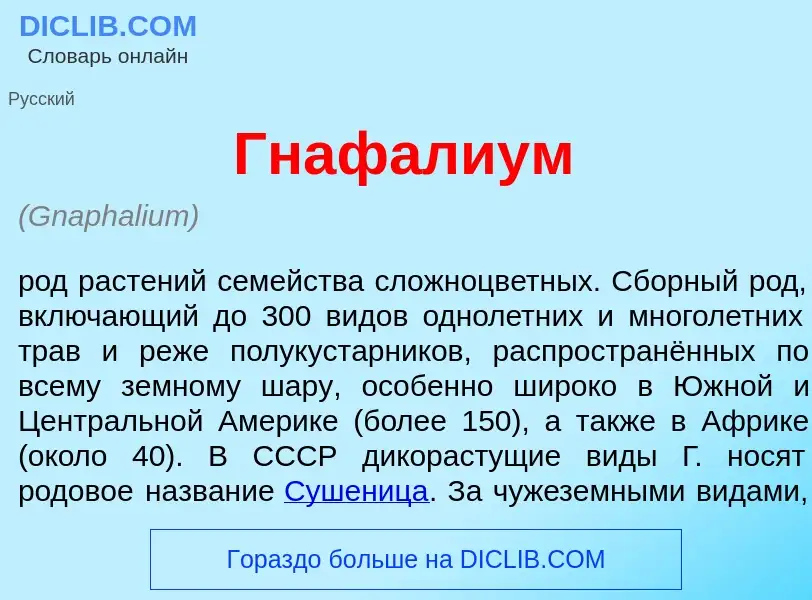 Что такое Гнаф<font color="red">а</font>лиум - определение