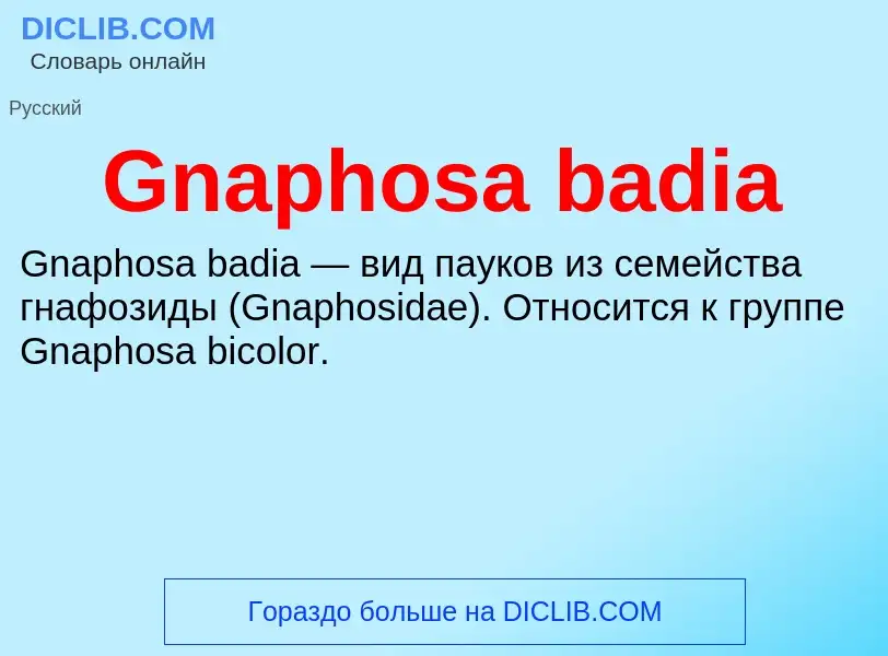 Что такое Gnaphosa badia - определение