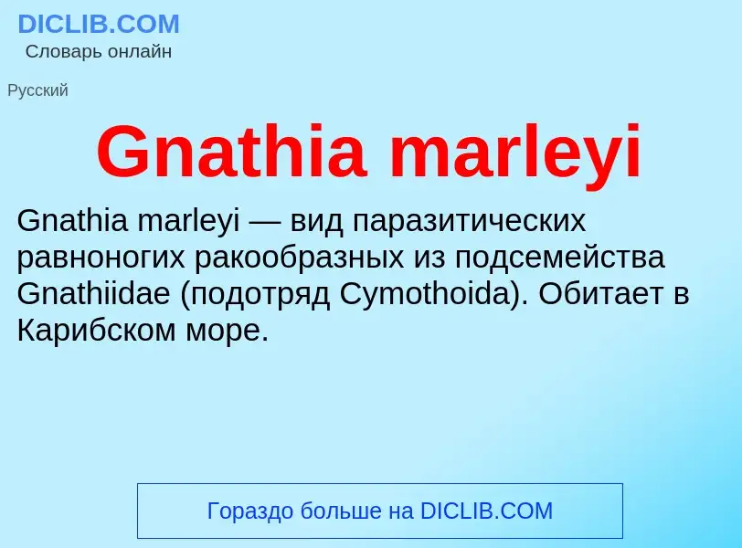 Что такое Gnathia marleyi - определение