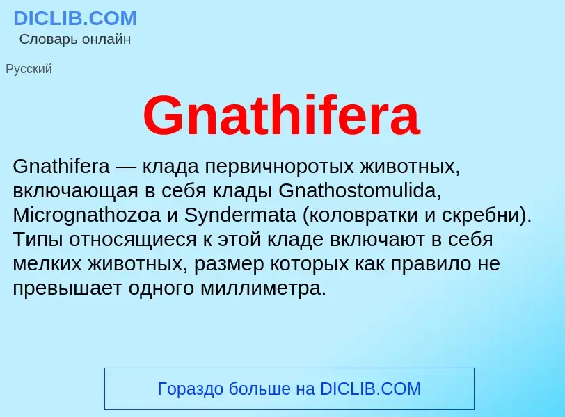 Что такое Gnathifera - определение