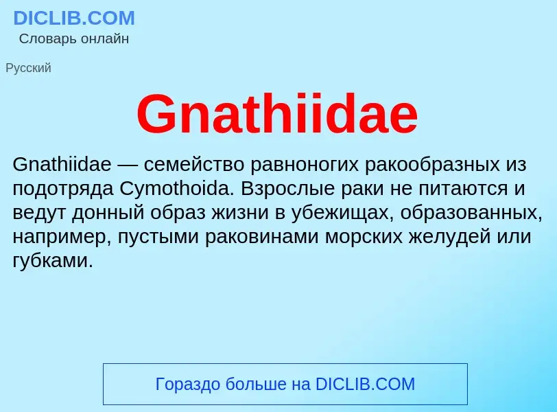 Что такое Gnathiidae - определение