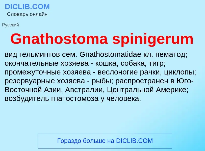 Что такое Gnathostoma spinigerum - определение