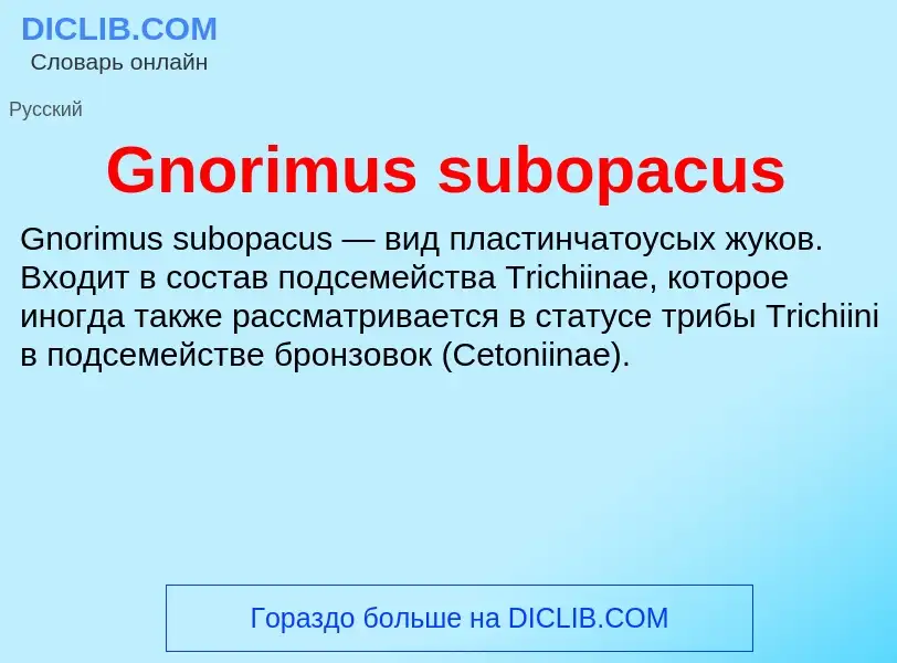 Что такое Gnorimus subopacus - определение