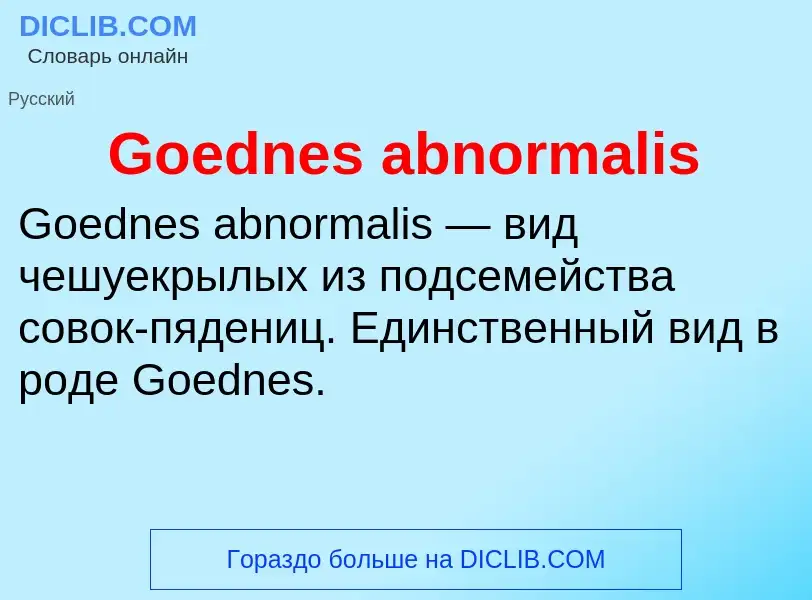 Что такое Goednes abnormalis - определение