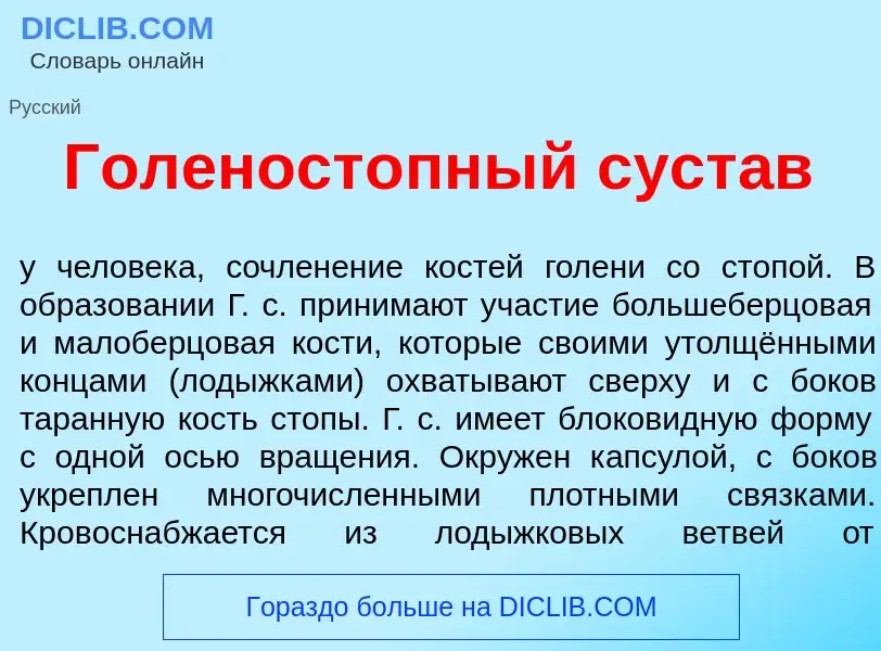 Что такое Голеност<font color="red">о</font>пный суст<font color="red">а</font>в - определение