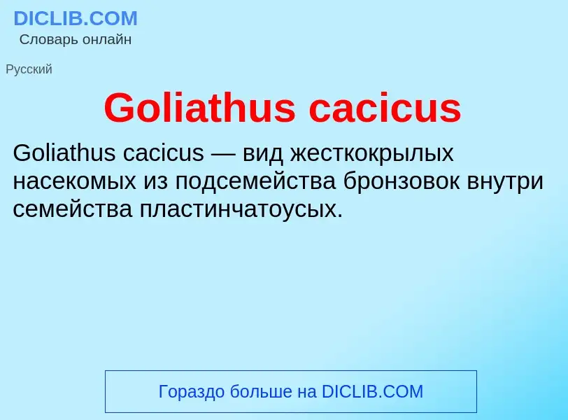 Что такое Goliathus cacicus - определение