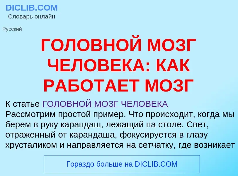 Was ist ГОЛОВНОЙ МОЗГ ЧЕЛОВЕКА: КАК РАБОТАЕТ МОЗГ - Definition