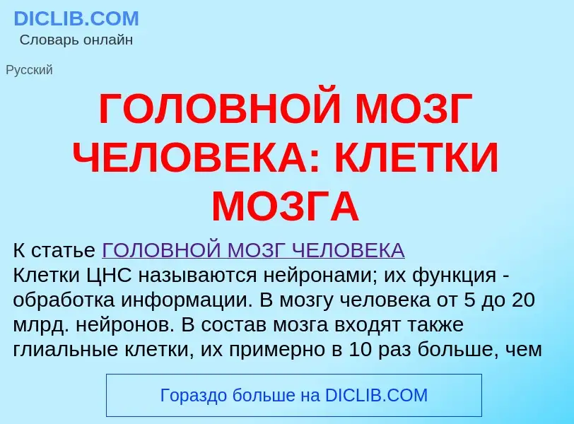 Что такое ГОЛОВНОЙ МОЗГ ЧЕЛОВЕКА: КЛЕТКИ МОЗГА - определение