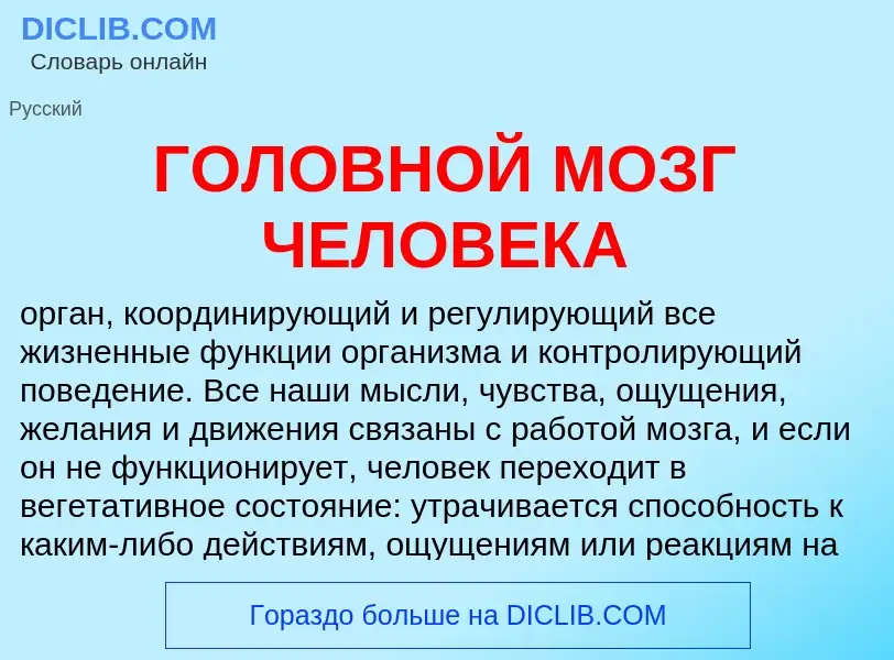 Was ist ГОЛОВНОЙ МОЗГ ЧЕЛОВЕКА - Definition