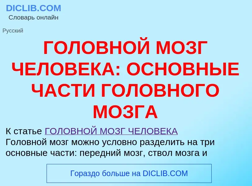 Что такое ГОЛОВНОЙ МОЗГ ЧЕЛОВЕКА: ОСНОВНЫЕ ЧАСТИ ГОЛОВНОГО МОЗГА - определение