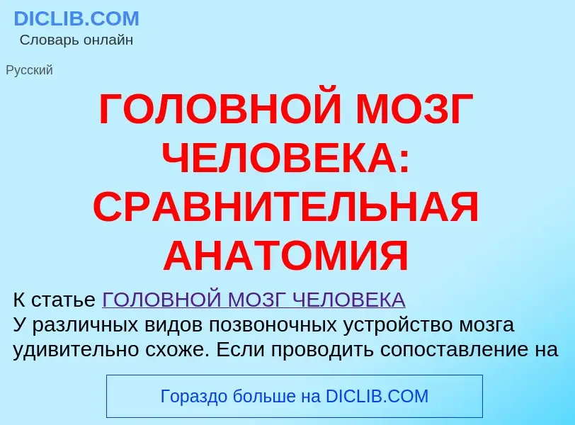 Что такое ГОЛОВНОЙ МОЗГ ЧЕЛОВЕКА: СРАВНИТЕЛЬНАЯ АНАТОМИЯ - определение