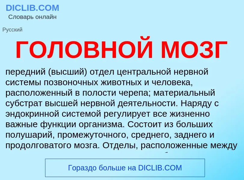 ¿Qué es ГОЛОВНОЙ МОЗГ? - significado y definición