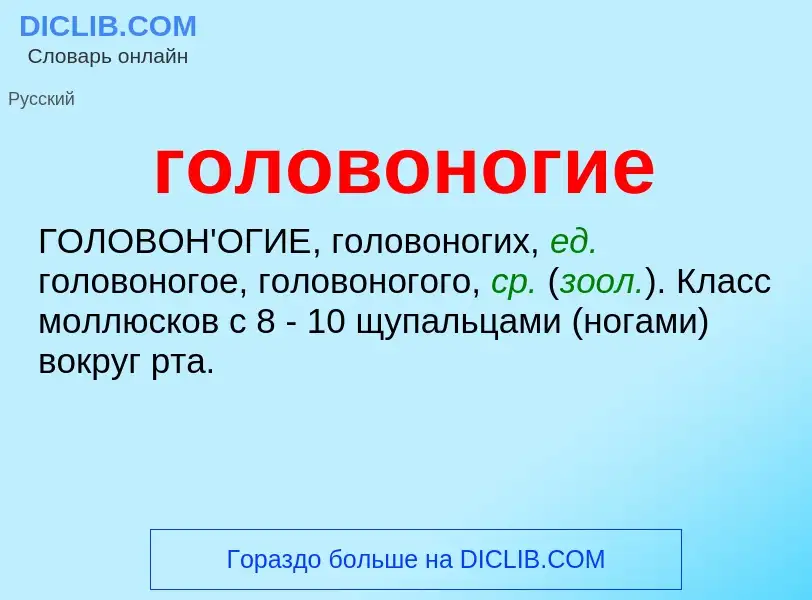 Что такое головоногие - определение