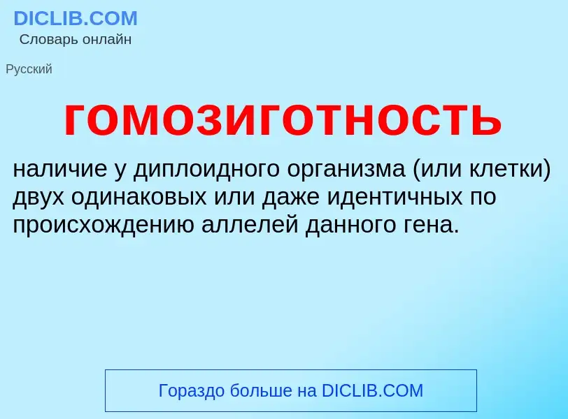 Что такое гомозиготность - определение