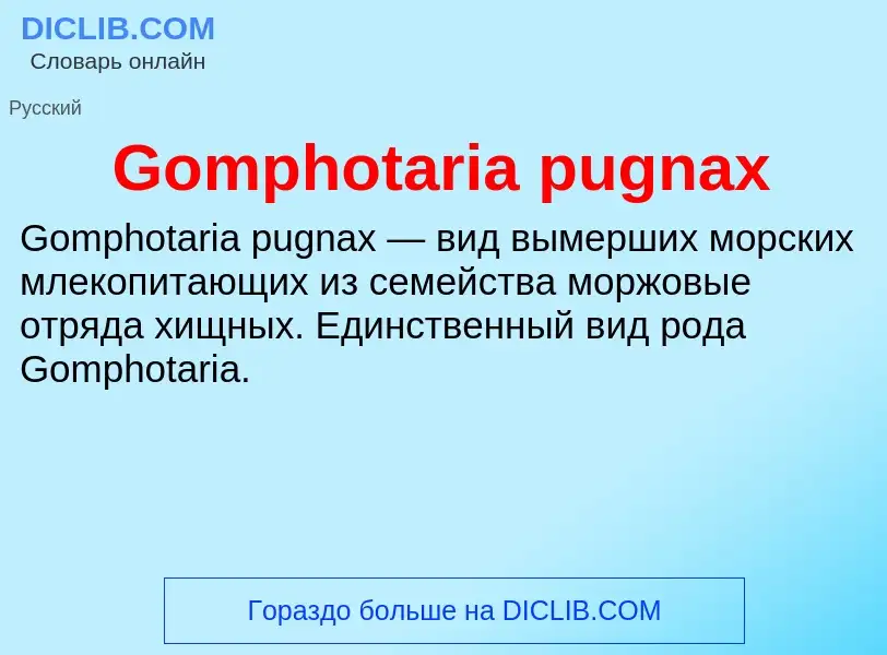 Что такое Gomphotaria pugnax - определение