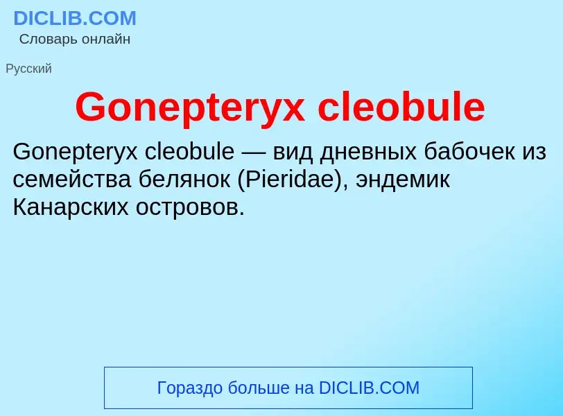 Что такое Gonepteryx cleobule - определение