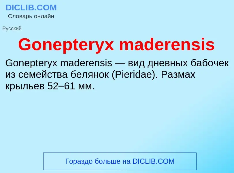 Что такое Gonepteryx maderensis - определение