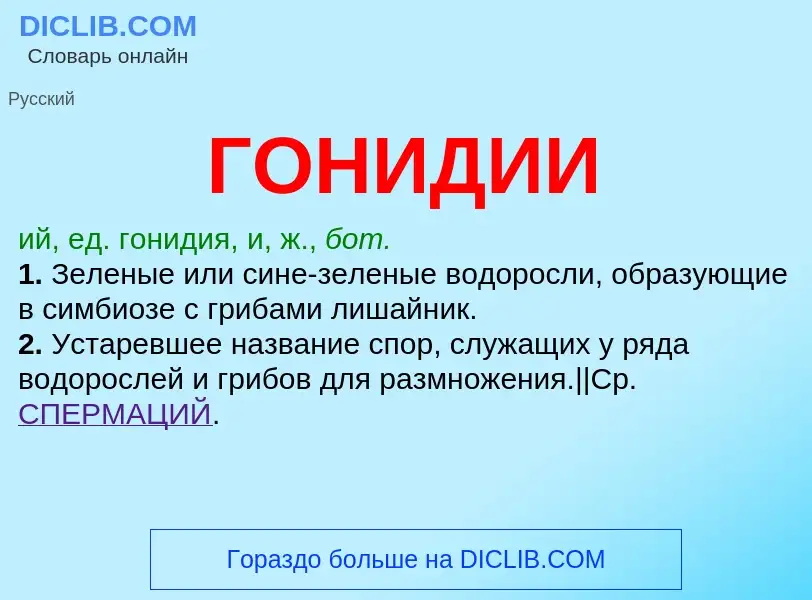 Wat is ГОНИДИИ - definition