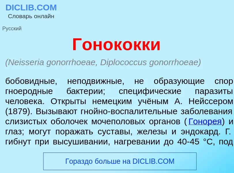 Что такое Гонок<font color="red">о</font>кки - определение