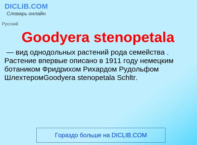 Что такое Goodyera stenopetala - определение