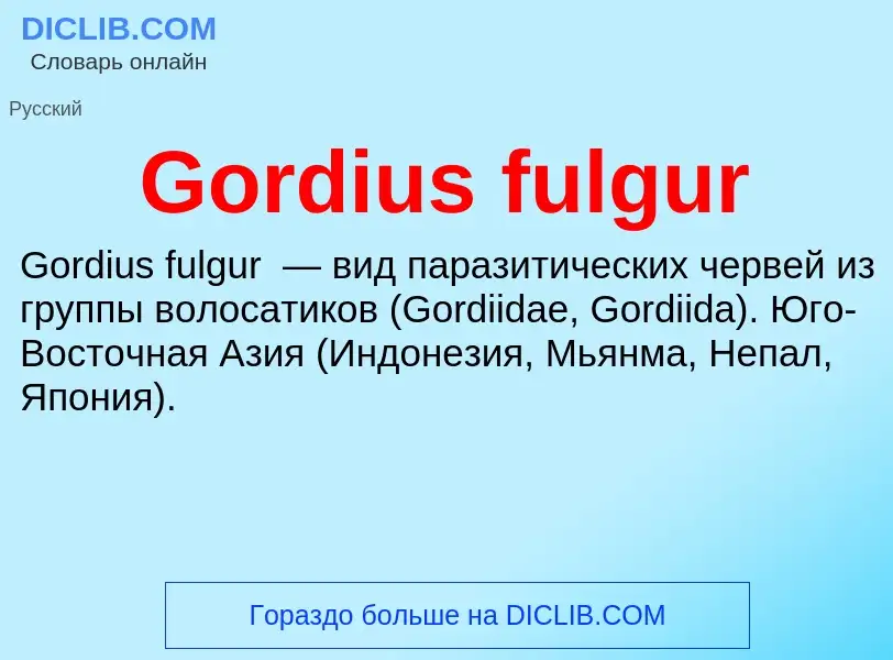 Что такое Gordius fulgur - определение