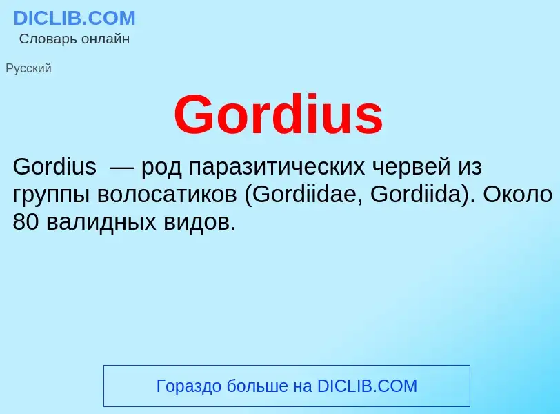 What is Gordius - definition